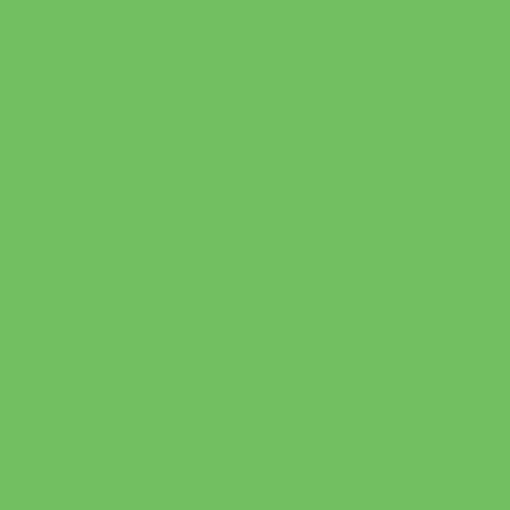 Savage Widetone Seamless Background Paper | 107" x 36', #46 Tech Green