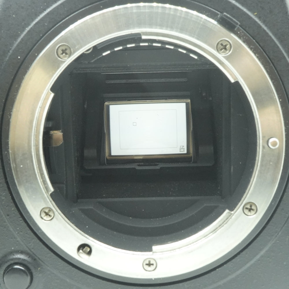 Used Nikon D500 | Black | U8