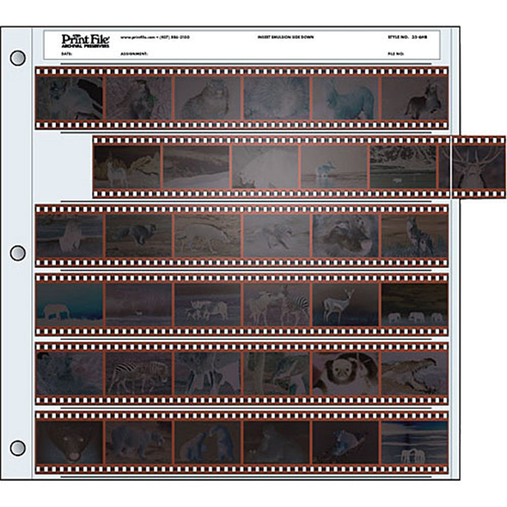 Print File 35mm Size Archival Storage Pages for Negatives | 6-Strips of 6-Frames, 100 Pack