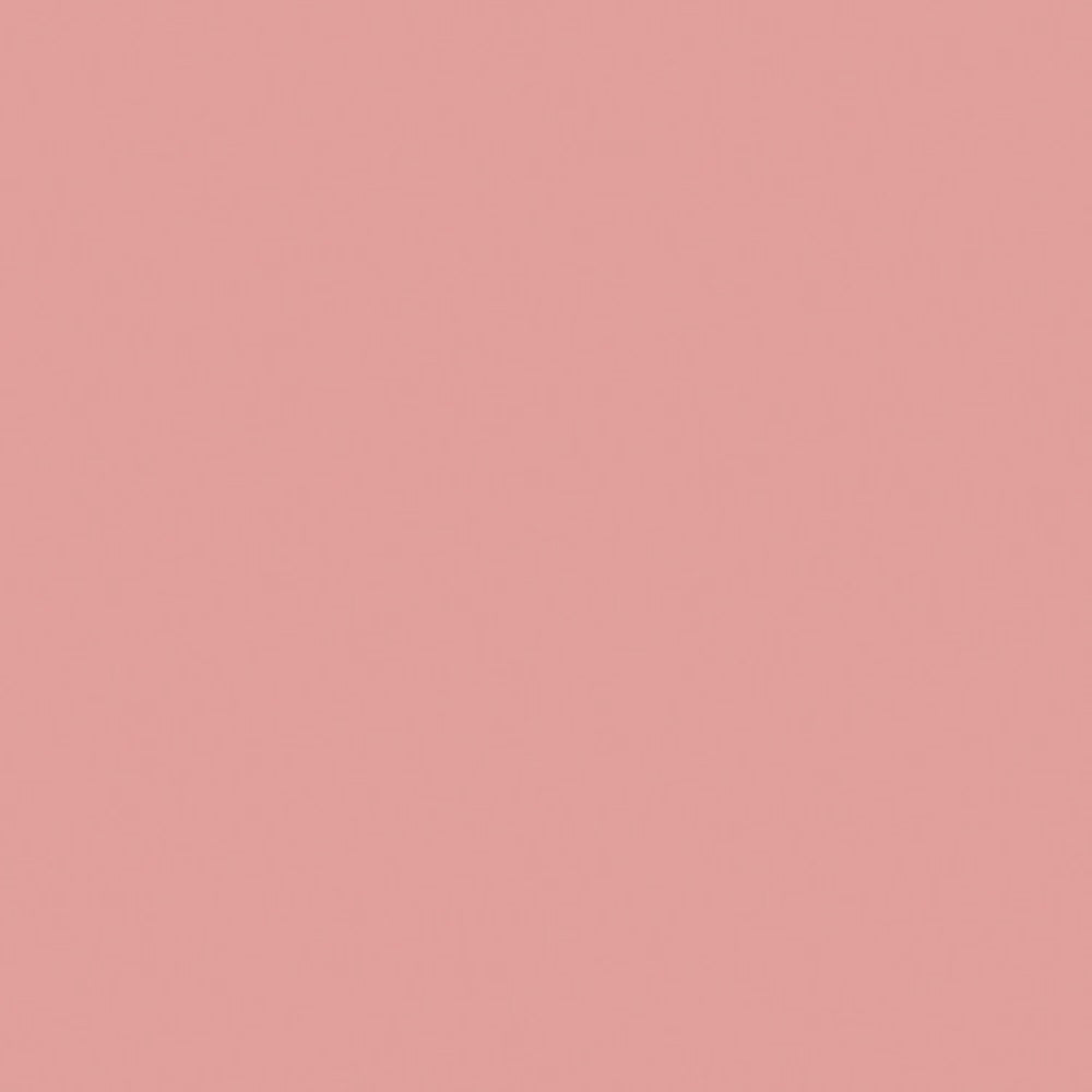 Savage Widetone Seamless Background Paper | 53" x 36'  -  #03 Coral