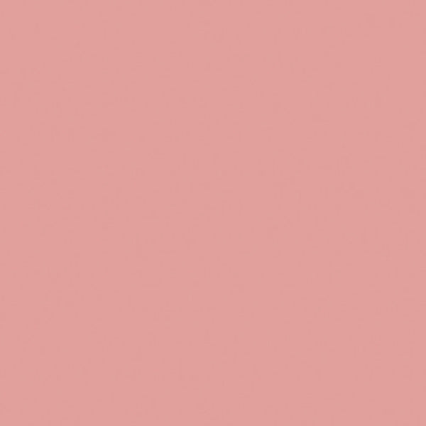 Savage Widetone Seamless Background Paper | 53" x 36'  -  #03 Coral