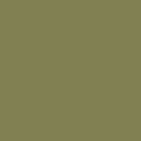 Savage Widetone Seamless Background Paper | 53" x 36'  -  #34 Olive Green