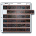 Print File 35mm Size Archival Storage Pages for Negatives | 6-Strips of 6-Frames - 25 Pack