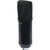 CAD U29 USB Large Format Side Address Studio Microphone