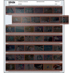Print File 35mm Size Archival Storage Pages for Negatives | 7-Strips of 6-Frames - 100 Pack