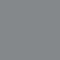 Rosco E-Colour #210 .6 Neutral Density | 21 x 24" Sheet