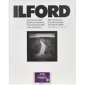 Ilford MULTIGRADE RC Deluxe Paper | Pearl, 11 x 14", 10 Sheets