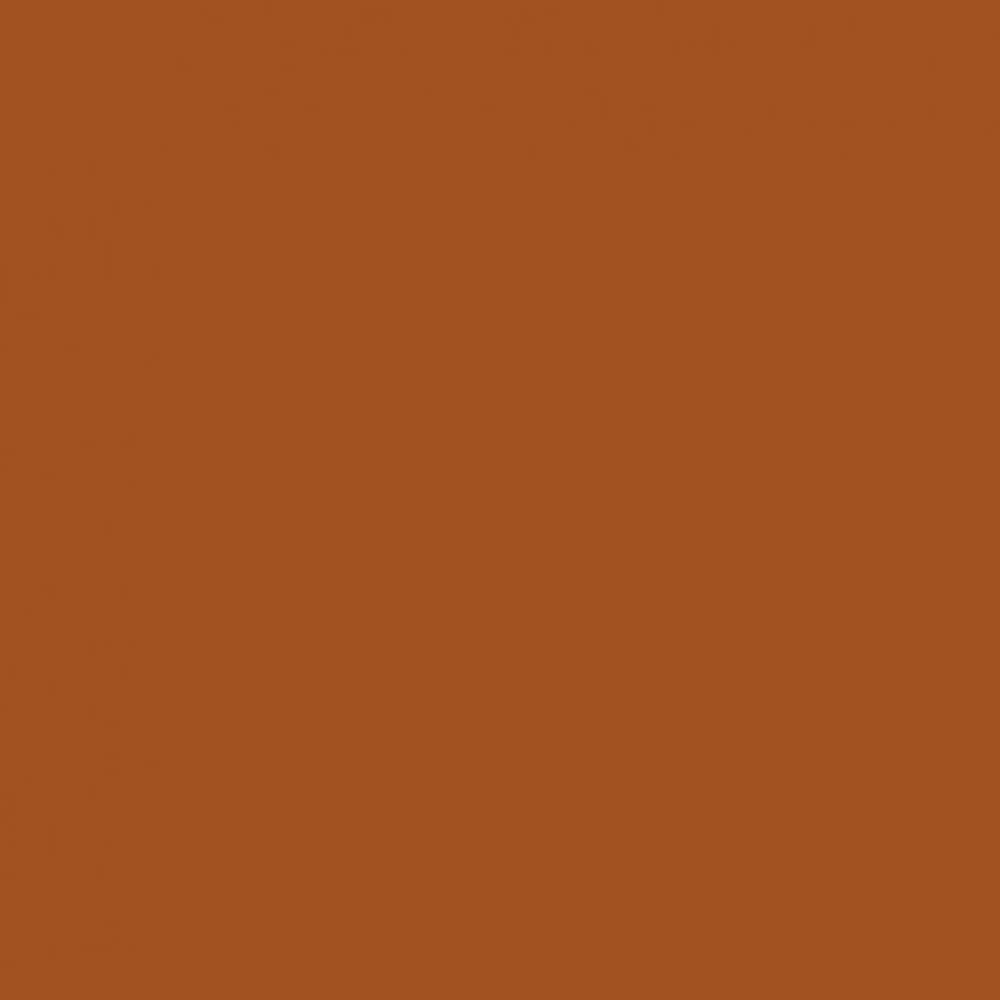 Savage Widetone Seamless Background Paper | 107" x 36'  -  #17 Sienna