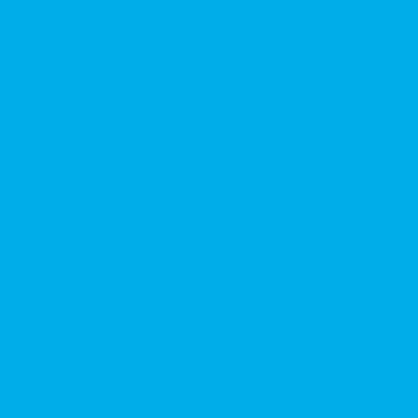 Rosco E-Colour #196 True Blue | 21 x 24" Sheet