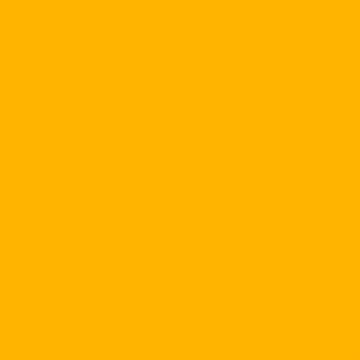 Rosco E-Colour+ #770 Burnt Yellow | 21 x 24" Sheet