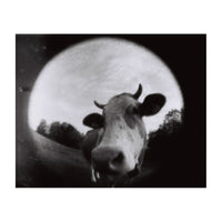Lomography Orca Black and White Negative Film | 110 Cartridge, 24 Exposures