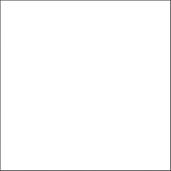 Rosco E-Colour #251 1/4 White Diffusion | 21 x 24" Sheet