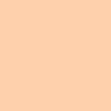Rosco E-Colour #205 1/2 CT Orange | 21 x 24" Sheet