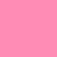 Lee Filters Gel 192 | Flesh Pink, 24inx21in