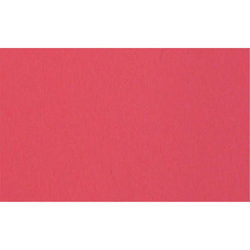 Savage Widetone Seamless Background Paper | 107" x 150'  -  #92 Flamingo