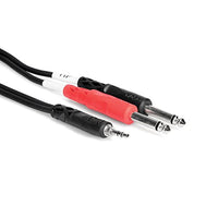 Hosa Technology Stereo Mini (3.5mm) Male to 2 Mono 1/4" Male Insert Y-Cable | 10'