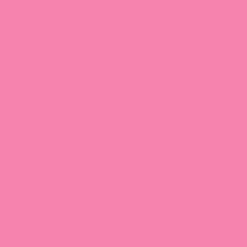 Rosco E-Colour #192 Flesh Pink | 21 x 24" Sheet