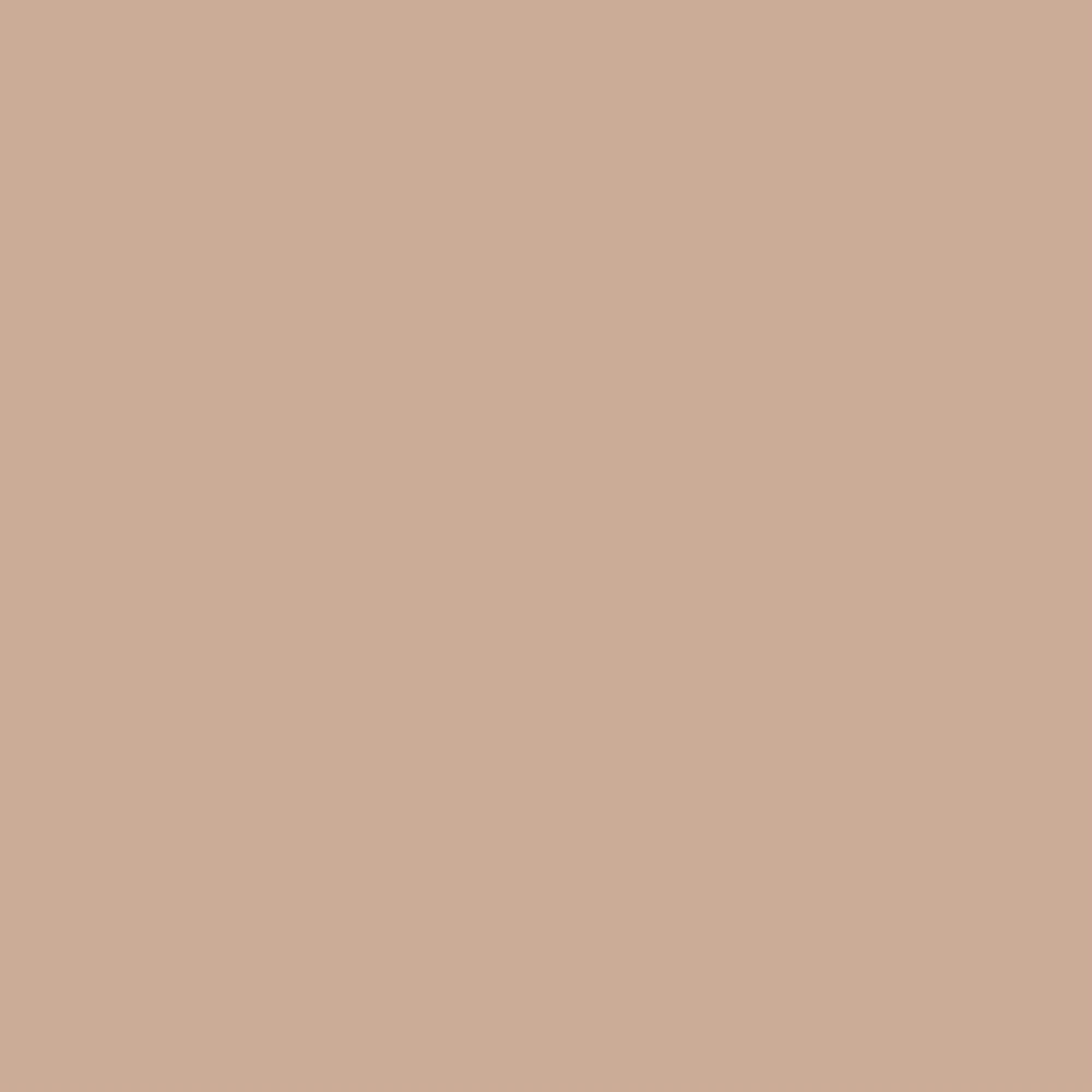 Savage Widetone Seamless Background Paper | 107" x 36'  -  #53 Pecan