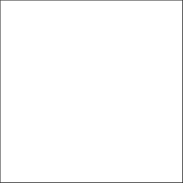 Rosco E-Colour #216 White Diffusion | 21 x 24" Sheet