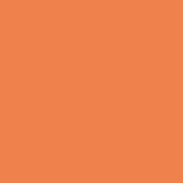 Savage Widetone Seamless Background Paper | 107" x 36'  -  #24 Orange