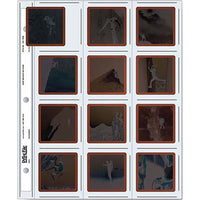Print File Archival Storage Pages for Square Prints | 100 Pack