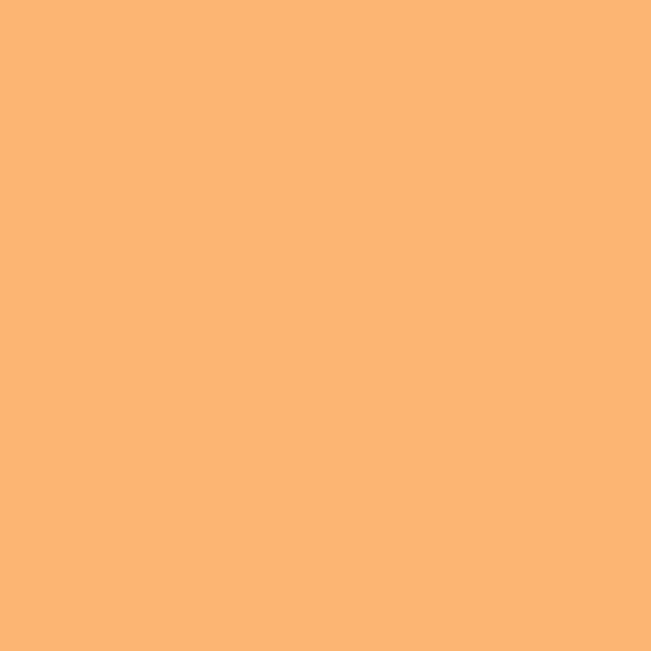 Rosco E-Colour #204 Full CT Orange | 21 x 24" Sheet