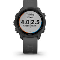 Garmin Forerunner 245 GPS Running Smartwatch | Slate Gray