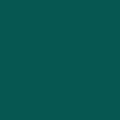 Rosco E-Colour #325 Mallard Green | 21 x 24" Sheet