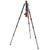 3 Legged Thing Punks Corey 2.0 Magnesium Alloy Tripod with AirHed Neo 2.0 Ball Head | Black