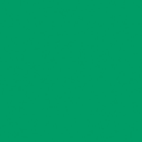 Rosco E-Colour #089 Moss Green | 21 x 24" Sheet