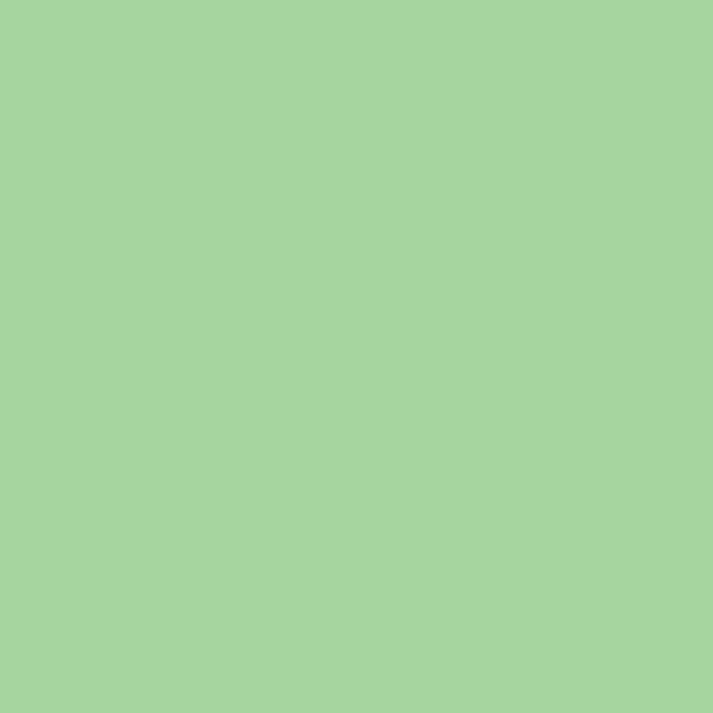 Savage Widetone Seamless Background Paper | 26" x 36'  -  #40 Mint Green