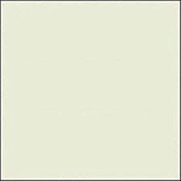 Rosco E-Colour #278 1/8 Plus Green | 21 x 24" Sheet
