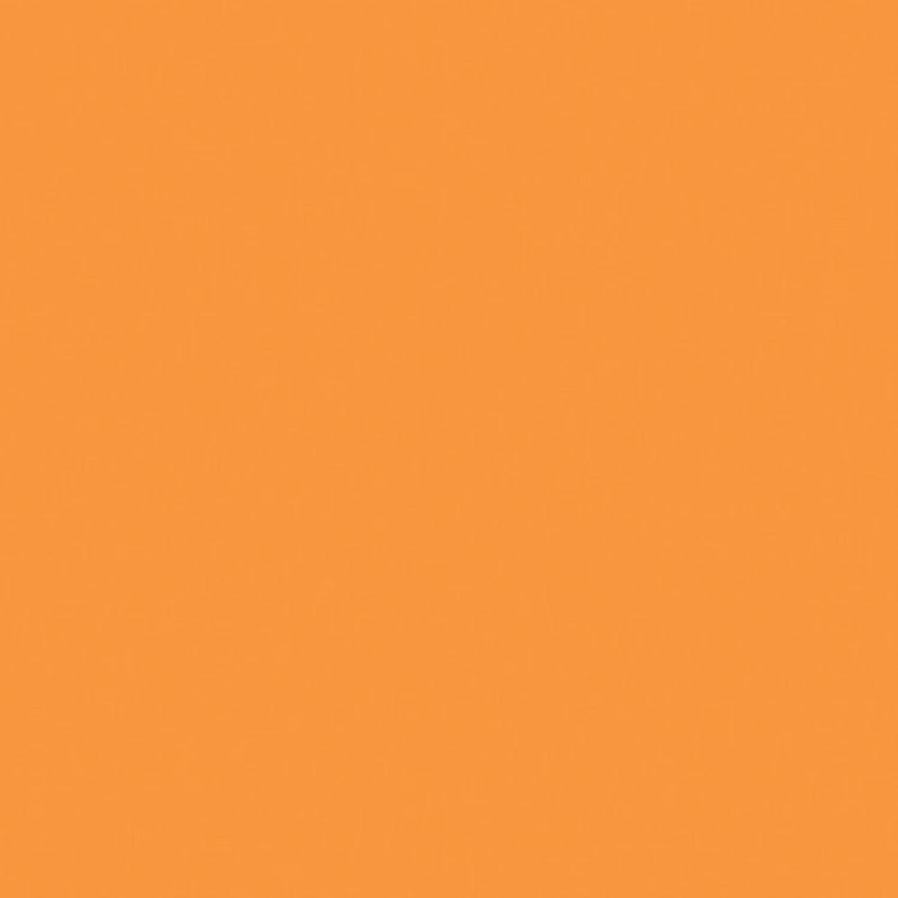 Rosco E-Colour+ #286 1.5 CT Orange | 21 x 24" Sheet