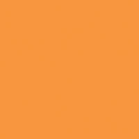 Rosco E-Colour+ #286 1.5 CT Orange | 21 x 24" Sheet