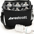 Westcott LampGuard Bulb Case for 6 CFL Lamps
