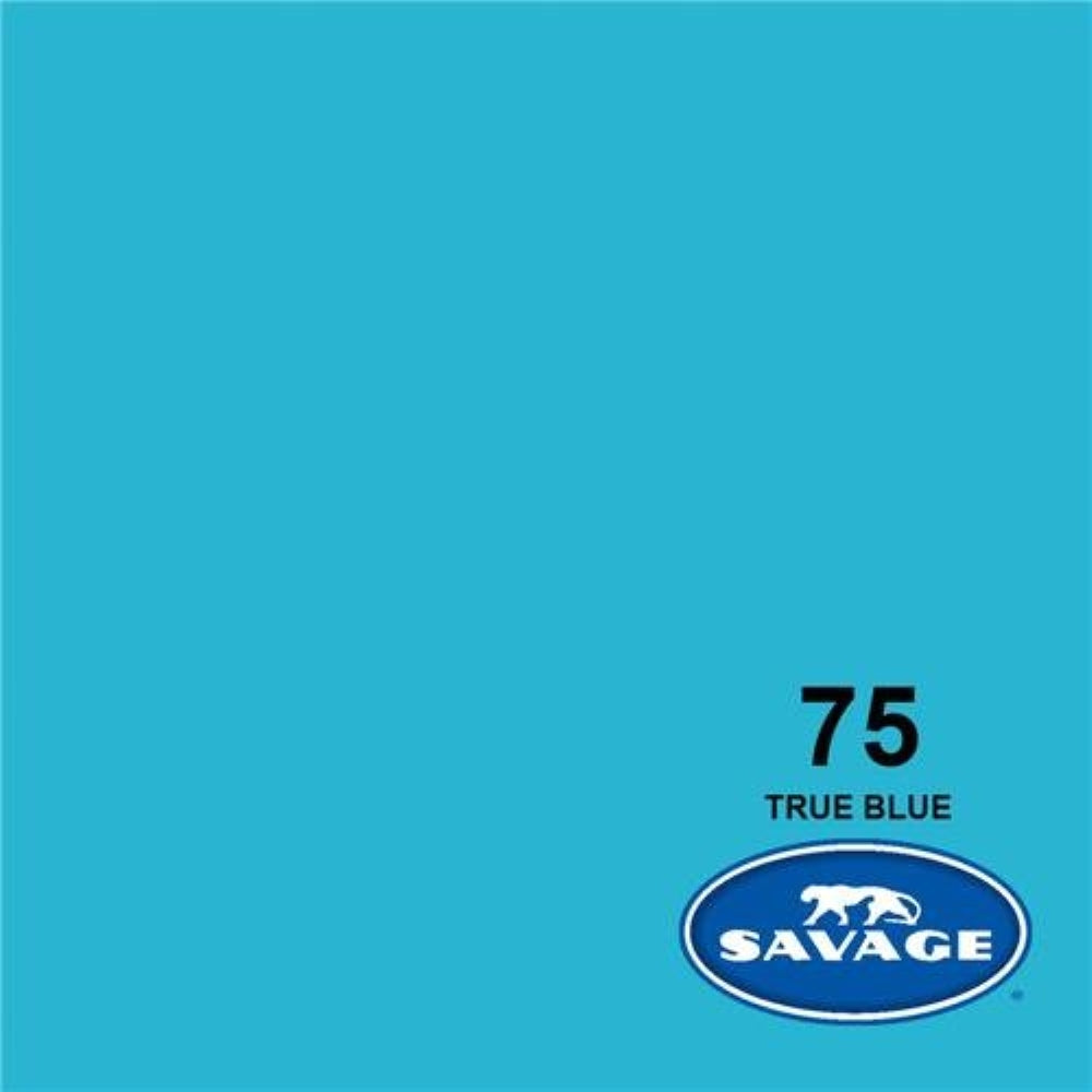 Savage Widetone Seamless Background Paper | 86" x 36'  -  #75 True Blue